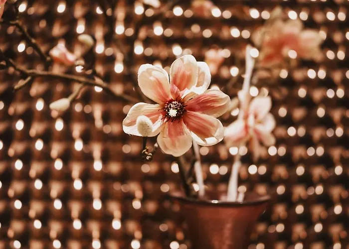 Flachauerhof מלון פלאכאו